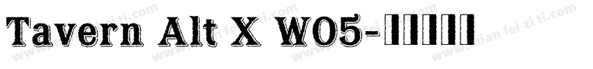 Tavern Alt X W05字体转换